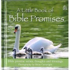 A Little Book Of Bible Promises
